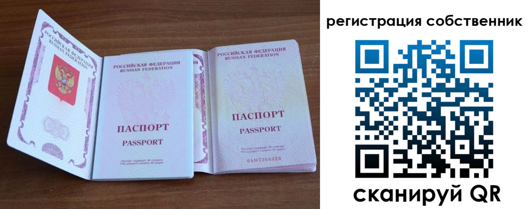 где прописаться в Данкове